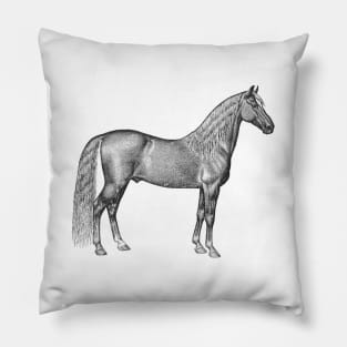 Palomino Horse Black and White Illustration Pillow