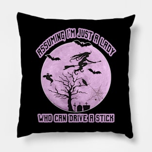 Lady Witch who can Drive a Stick, Funny Halloween Costume Pillow