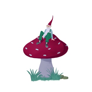 Cute gnome on mushroom T-Shirt