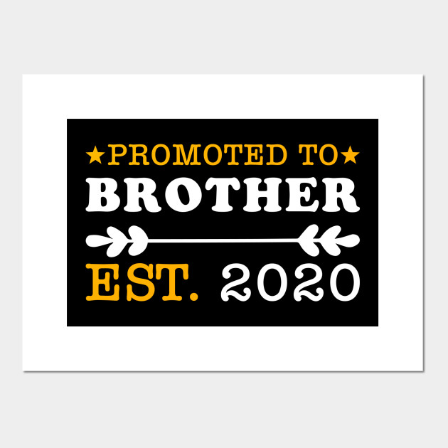 Promoted To Brother Established 2020 Sibling Siblings Family T Shirt Tee Gift Sibling Gift Ideas Posters And Art Prints Teepublic