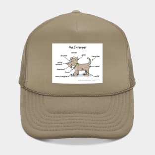 the Interpet Hat