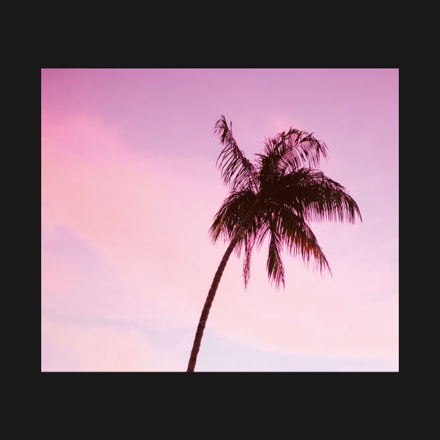 Palmtree pink by ColorsHappiness