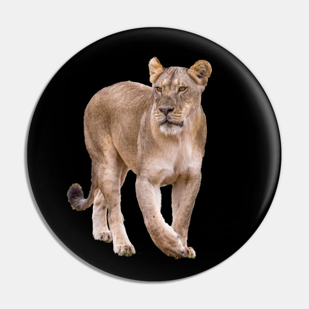 Lioness Pin by VANGORPPHOTOS