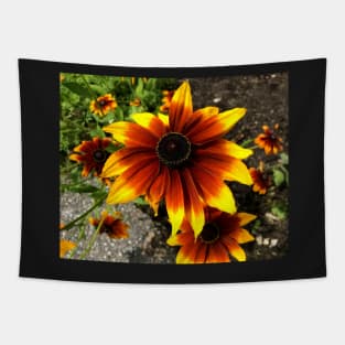 Yellow and Red Coneflower Tapestry