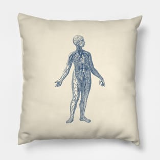 Venous System Diagram - Vintage Anatomy Pillow