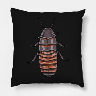 madagascar hissing cockroach (Gromphadorhina portentosa) Pillow