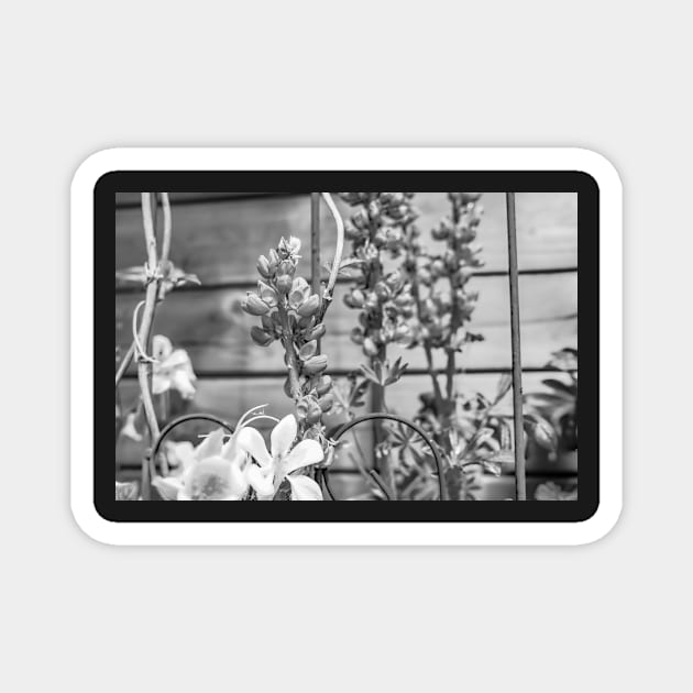 Garden flowers Magnet by yackers1