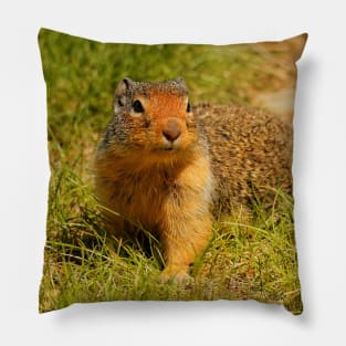 A Hopeful Columbian Ground Squirrel Pillow