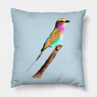 Colourful Lilac-breasted Roller Pillow