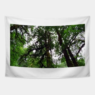 Silver Falls State Park Oregon Tapestry