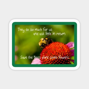 Save The Bees Magnet