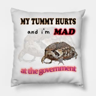 My Tummy Hurts And I'm MAD At The Government Meme Pillow