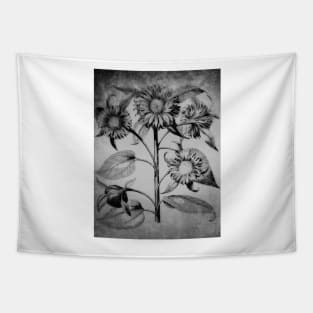 Sunflower Botanical In Black and White Tapestry