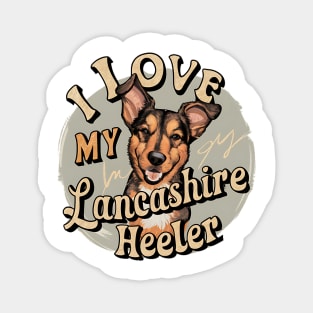 I love my Lancashire Heeler Magnet