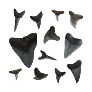 Assorted Shark Teeth T-Shirt