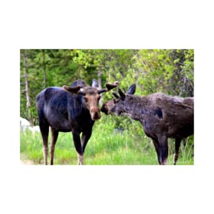 Young Moose Brothers Photograph T-Shirt