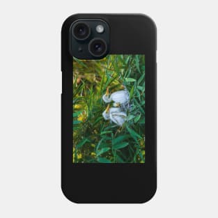 Three Great White Egret Chicks on the Nest. Cute baby birds photography. Phone Case