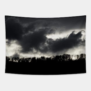 Black Forest & Clouds / Swiss Artwork Photography Tapestry