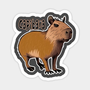 Capibara Magnet