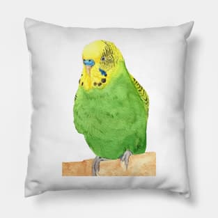 budgie bird parrot watercolor Pillow