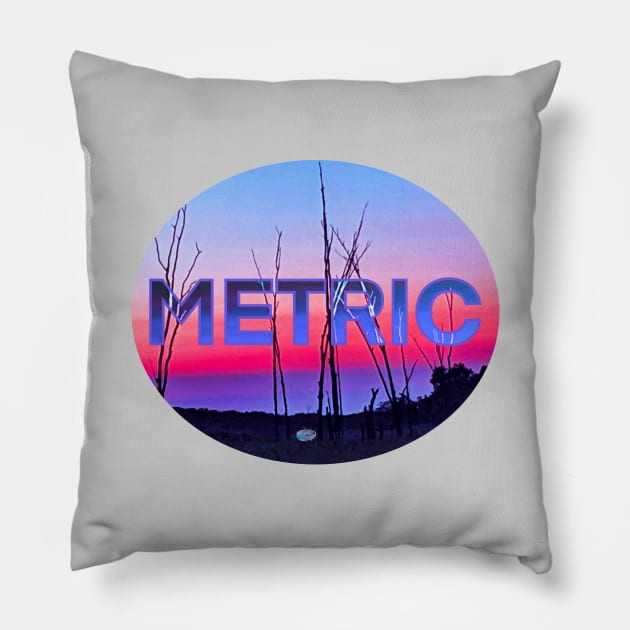 Metric Pillow by Noah Monroe