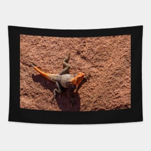 Agama lizard. Tapestry