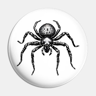 Arachnid Artistry: Spider Sketch on White Pin