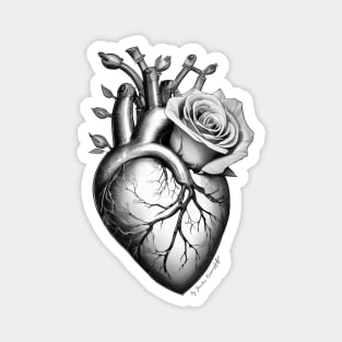 anatomic heart with rose flower power black white Magnet