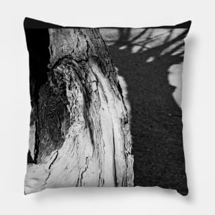 Hollow tree and shadow Pillow