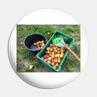 Apple harvest Pin