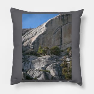 Dwarf Trees Above Tenaya Pillow