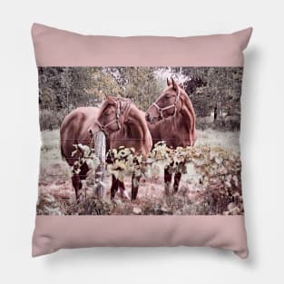 Two Horses 1B Pillow