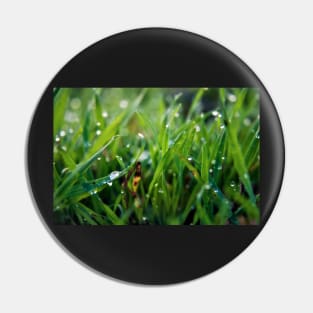 Dew Drop Grass Pin