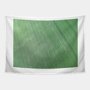 Aerial view of green field of grain Tapestry