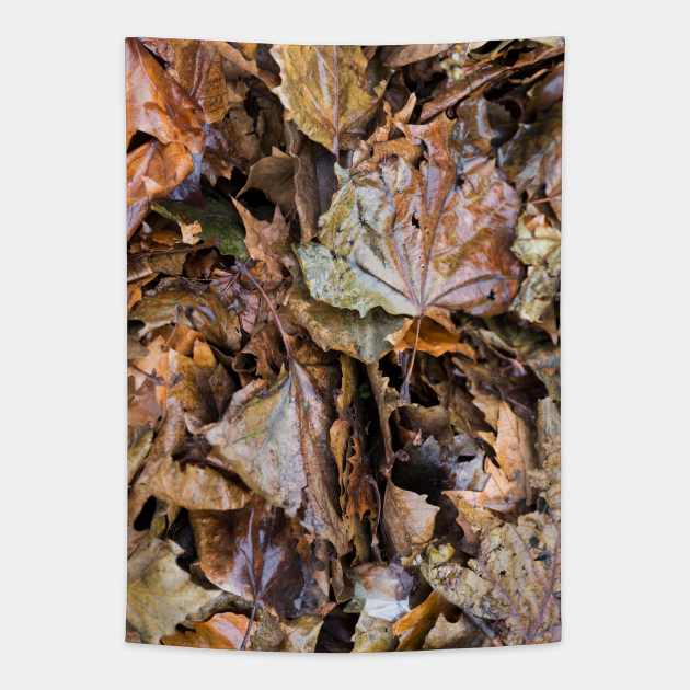 Colorful Autumn leaves Tapestry by textural