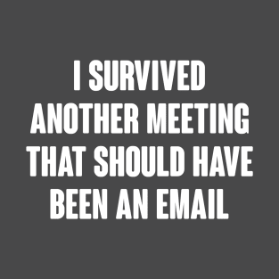 I Survived Another Meeting That Should Have Been An Email T-Shirt