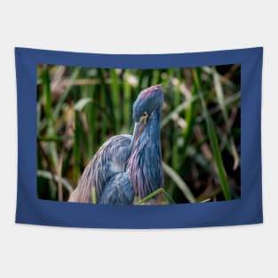 Tri-colored Heron Vibrant Beauty Tapestry