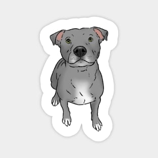 Gray Pitbull, Sitting Pittie Magnet