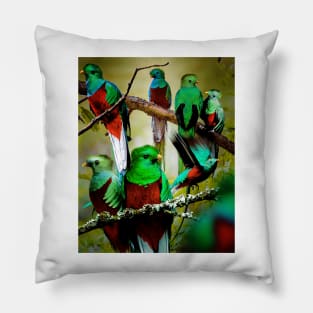 Quetzal Pillow