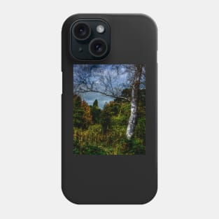 Autumnal Silver Birch Phone Case