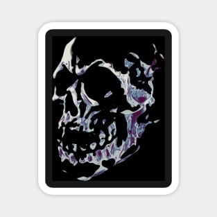 Skull Magnet