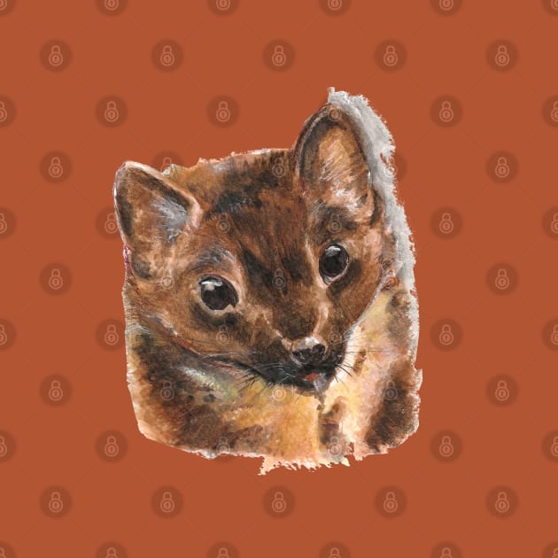 European Pine marten by belettelepink