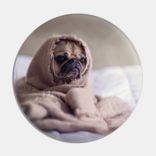 pug in a blanket Pin