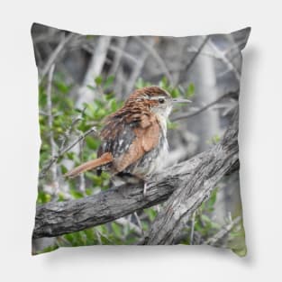 Carolina Wren Pillow