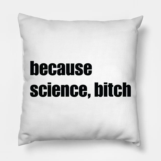 Because Science Bitch Pillow by ScienceCorner