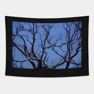 Branching out in Blue by Avril Thomas Tapestry