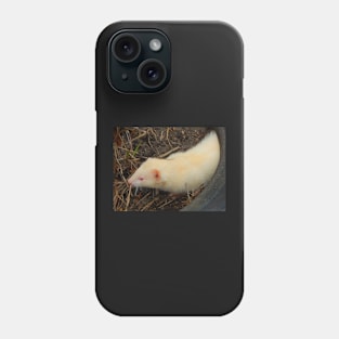 Albino Ferret Phone Case