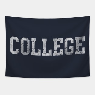 College Retro Tapestry