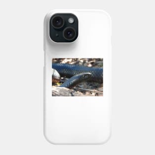 Red-bellied Black Snake Phone Case