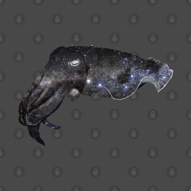 Galaxy Cuttlefish by Kristal Stittle